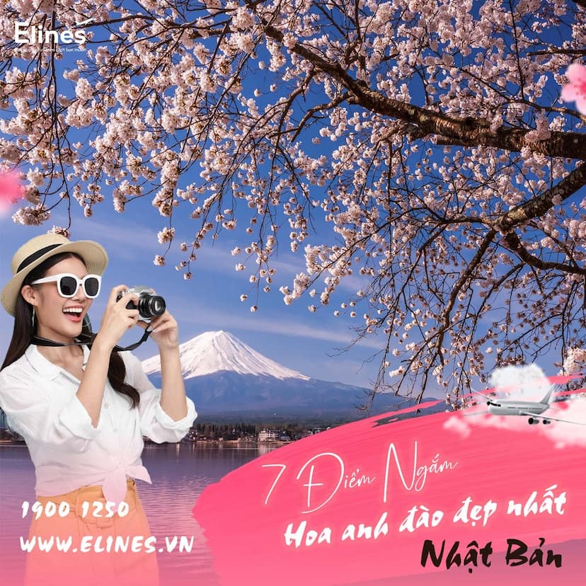 7 điểm ngắm HOA ANH ĐÀO đẹp nhất NHẬT BẢN