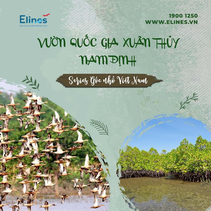 VƯỜN QUỐC GIA XUÂN THỦY - NAM ĐỊNH