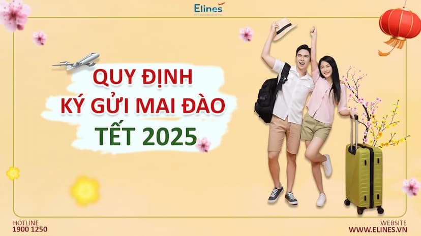 Quy định ký gửi mai đào Tết 2025