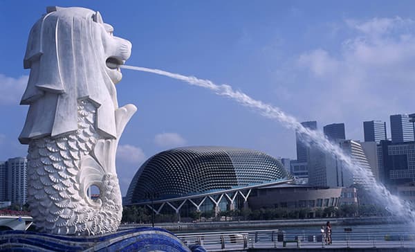 ve-may-bay-gia-re-di-singapore-1